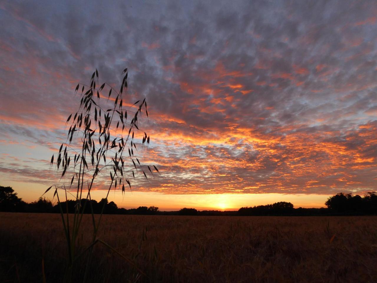 Mollett'S Farm Apartment แซกส์มันดัม ภายนอก รูปภาพ